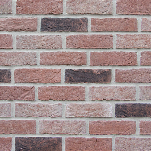A wall of Flemish Antique bricks