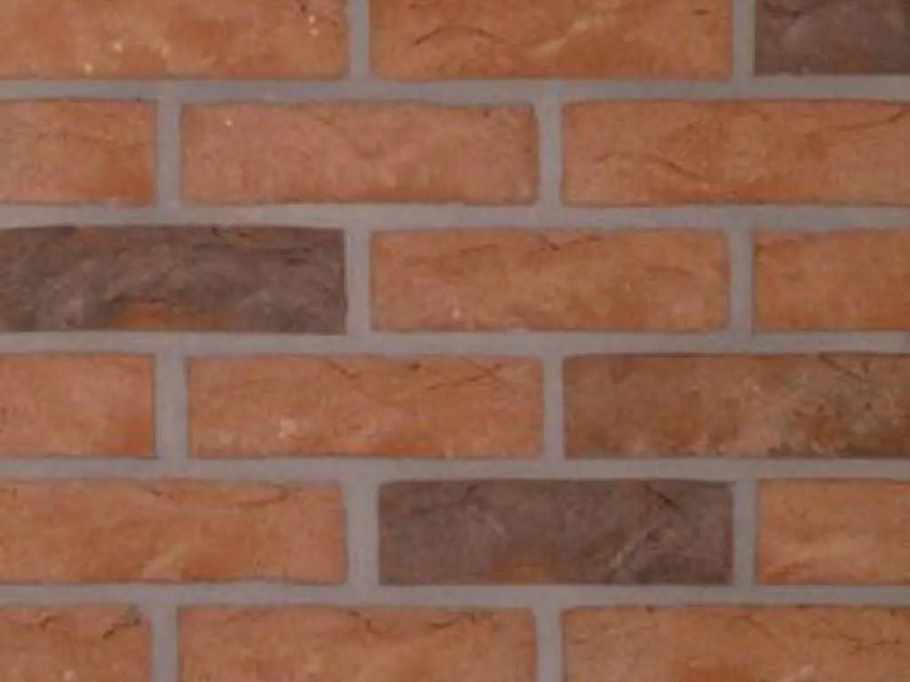 Close up of a view of Welham Antique bricks