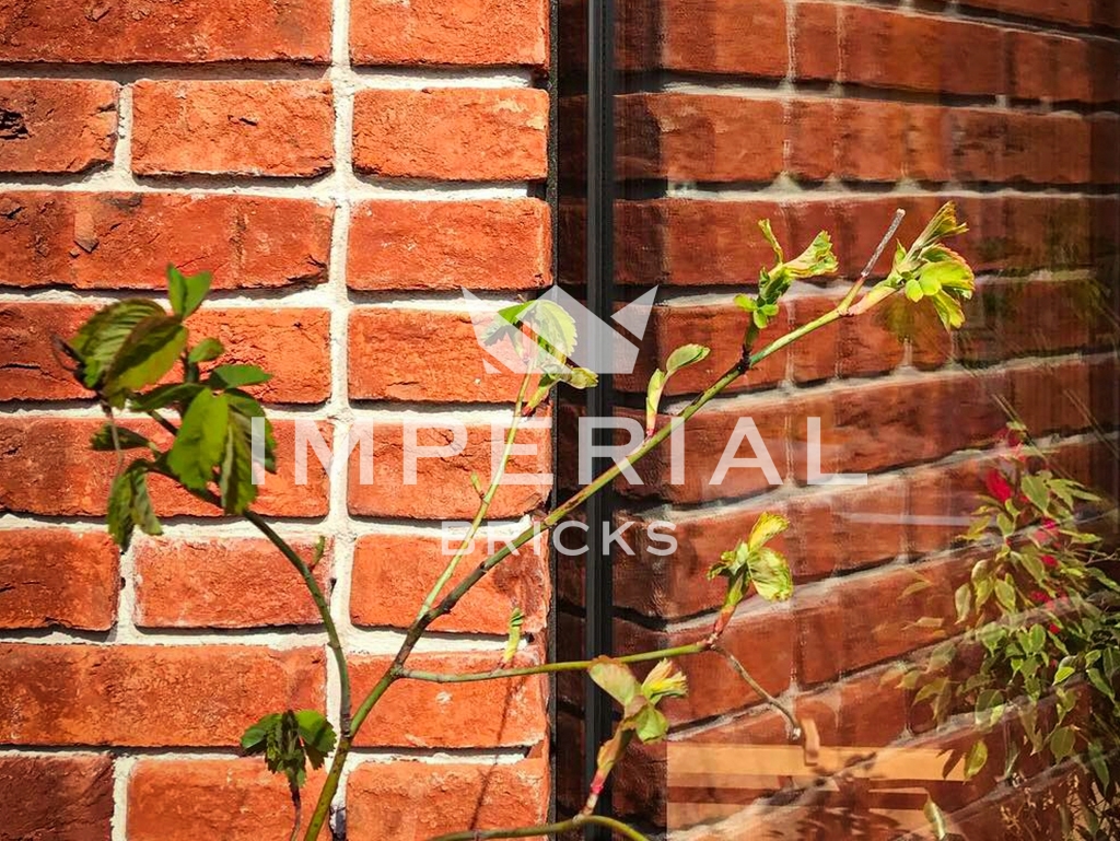 Detailed image of Tudor Multi bricks