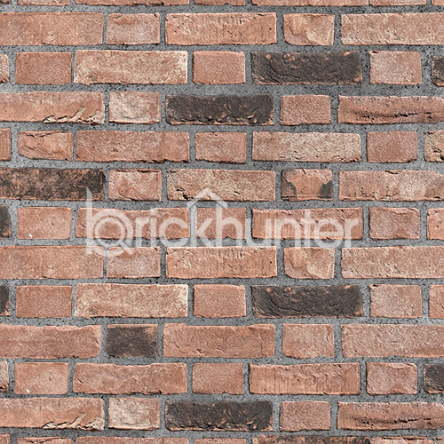 A wall of Flemish Antique bricks
