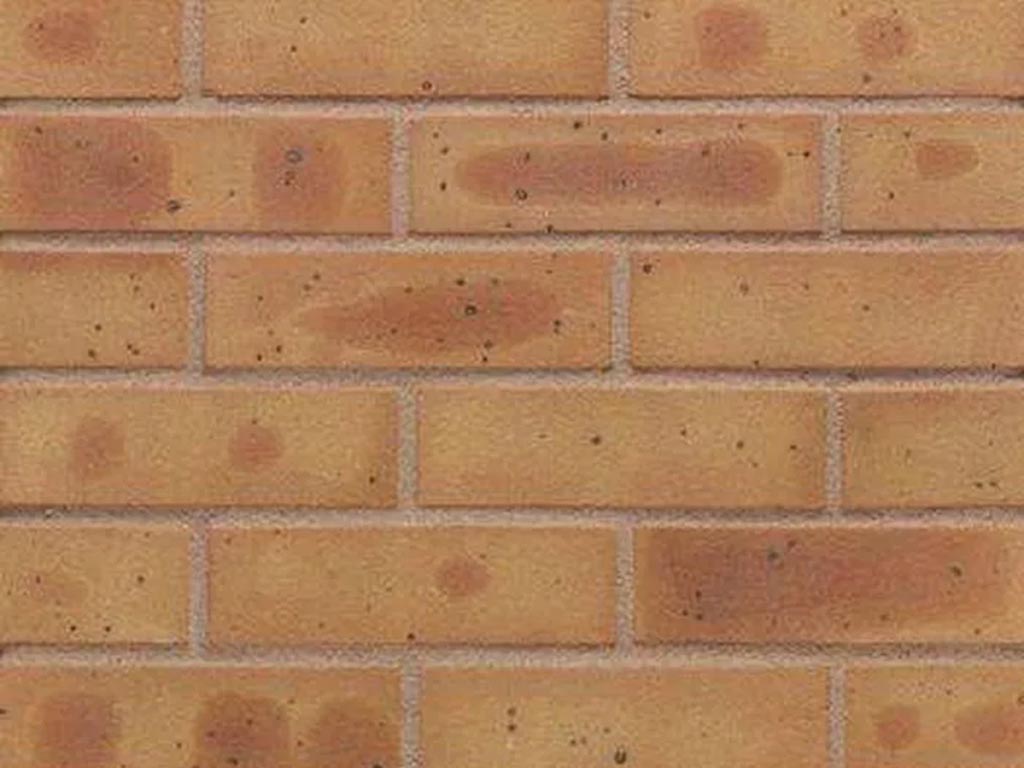 Close up of a wall of Willowed Buff Multi bricks