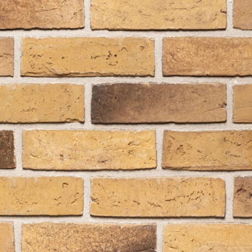 Close up of a wall of Liza Waterstruck bricks