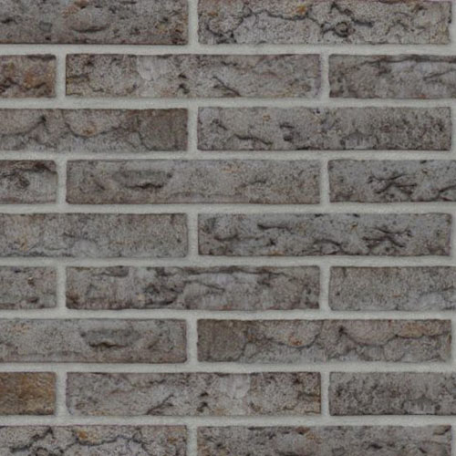 Close up of a wall of Atlantis Two bricks