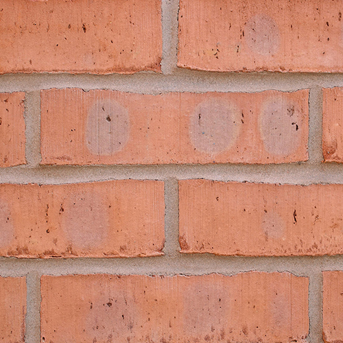 Close up of a wall of Shelton Red Multi bricks
