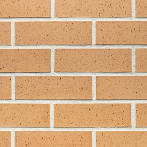 Close up of a wall of Salvador Waterstruck bricks