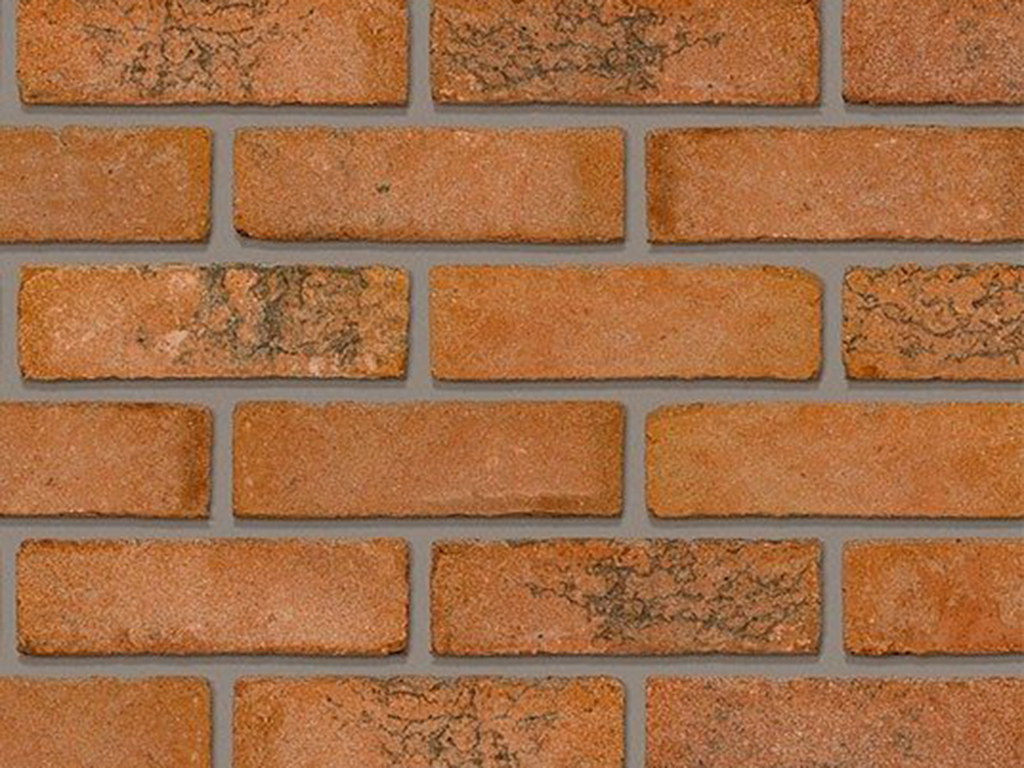 Close up of a wall of Newfield Multi bricks