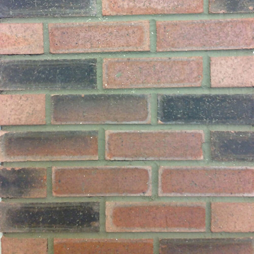 Close up of a wall of Snowie Heritage Dragwire bricks