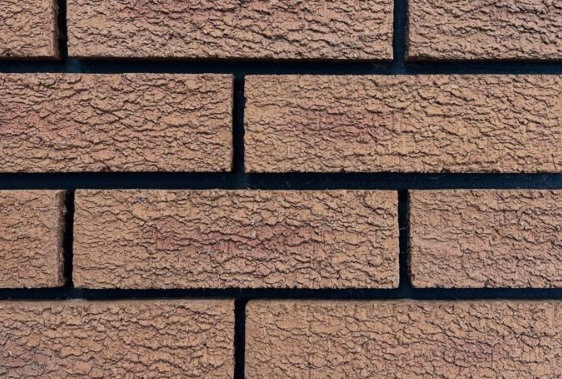 Panel Image of Border Rustic